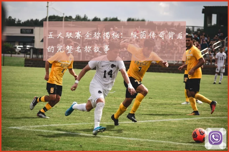 五大联赛全称揭秘:绿茵传奇背后的完整名称故事