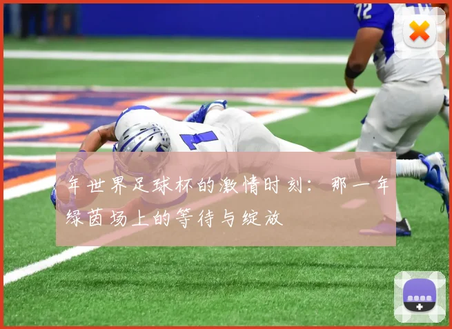 年世界足球杯的激情时刻:那一年绿茵场上的等待与绽放