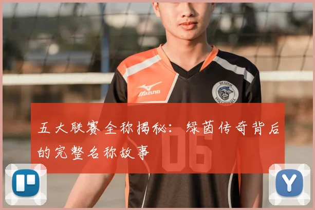 五大联赛全称揭秘:绿茵传奇背后的完整名称故事