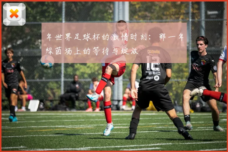 年世界足球杯的激情时刻:那一年绿茵场上的等待与绽放