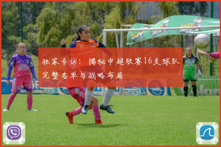 独家专访：揭秘中超联赛16支球队完整名单与战略布局
